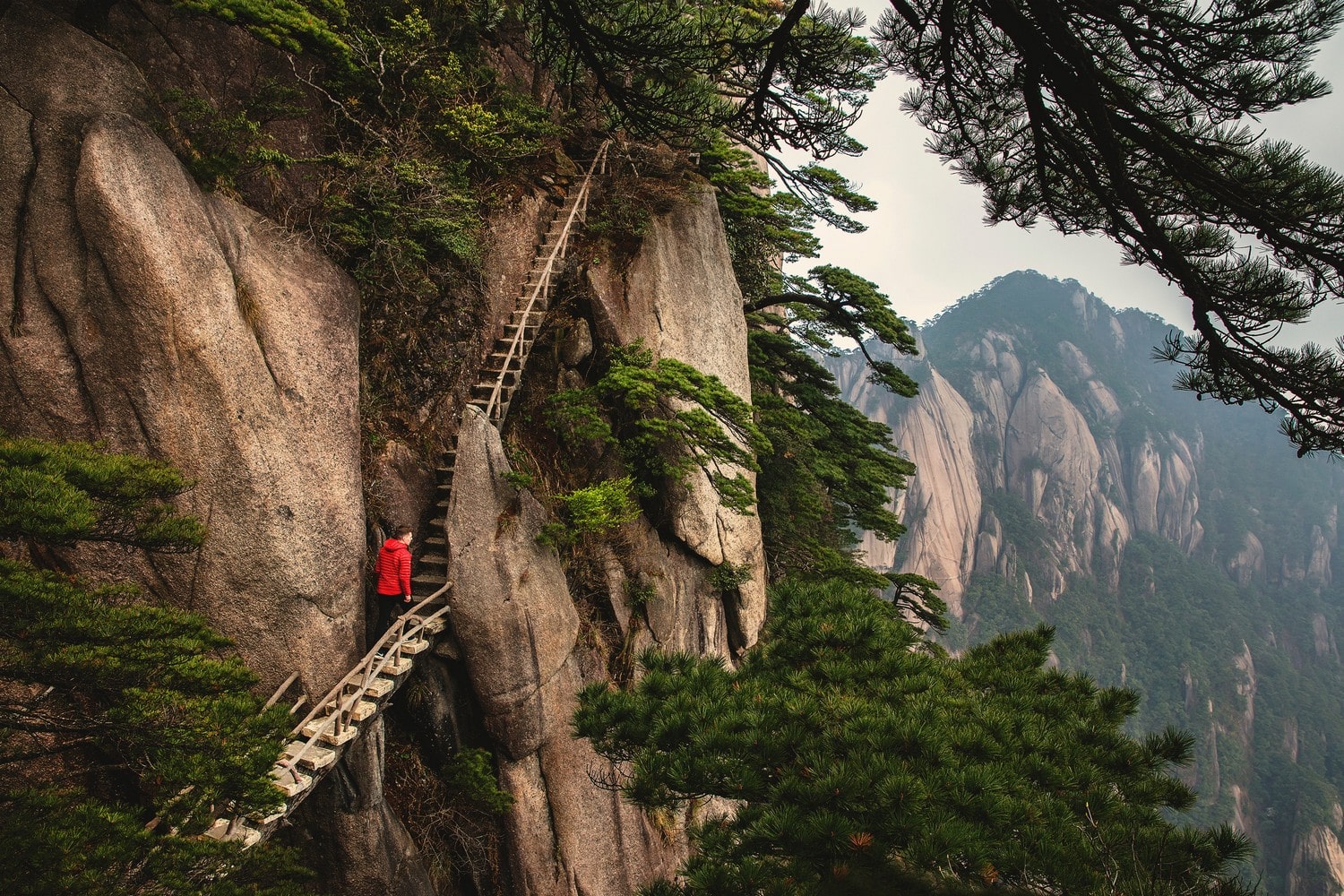 Tour with a group going through beautiful mountains and nature