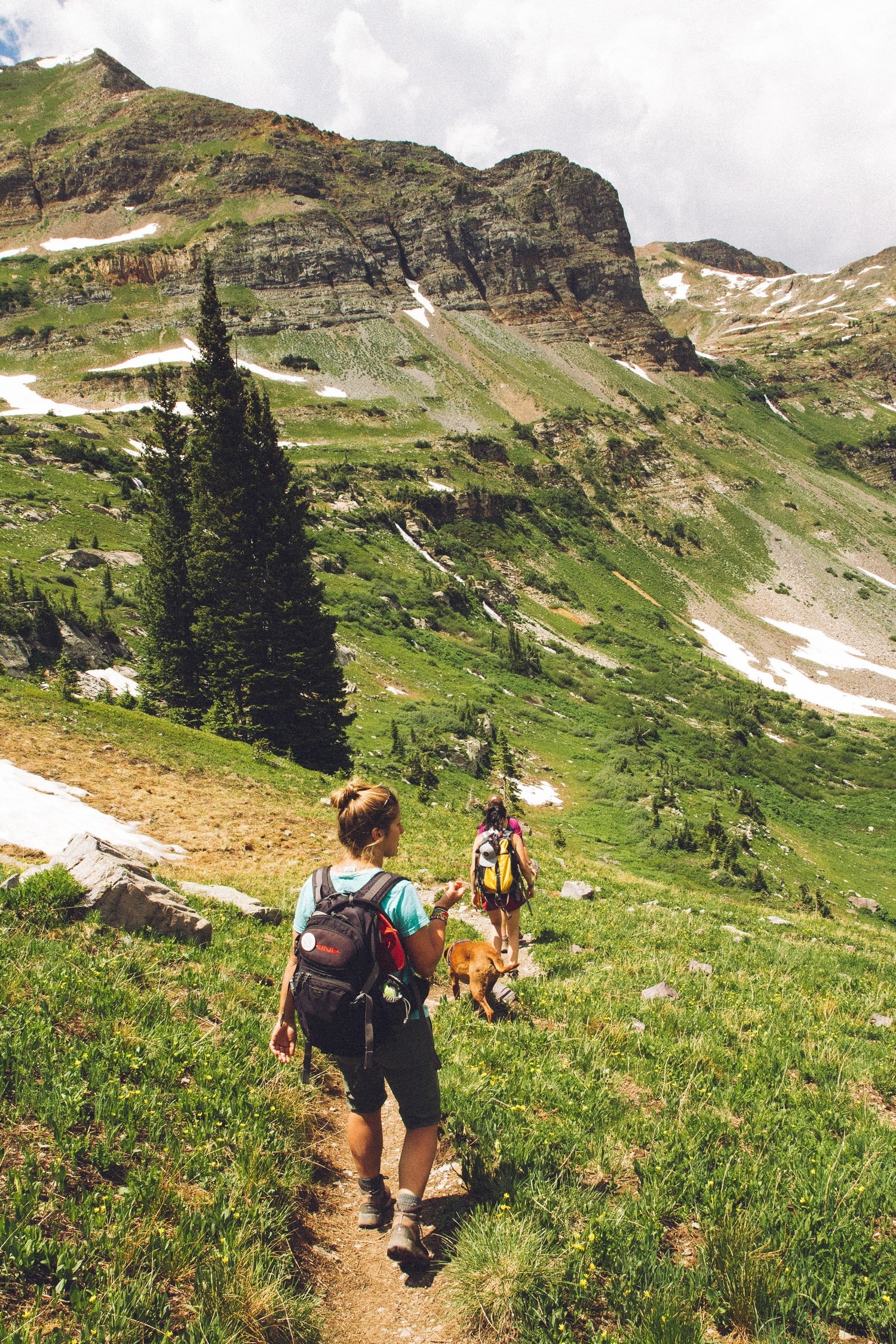 a group of hikes enjoying a short hikes and walking through a mountain